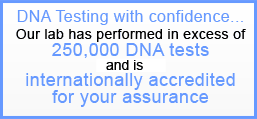 Commandez votre Test Paternit&eacute; ADN par easyDNA.