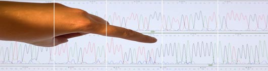 Consigue tu electroferograma en easyDNA France Consigue tu electroferograma en easyDNA France