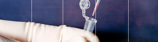 Qui Sommes Nous- easyDNA France