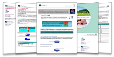 Exemple de rapport Exemple de rapport